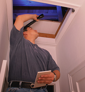 Healthy Home Inspection